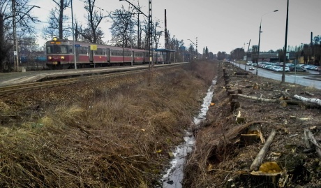 Wycinka przy stacji kolejowej