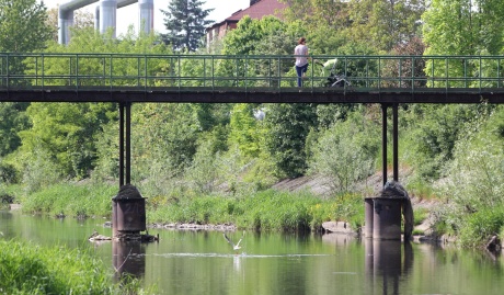 kładka, mostek, biała