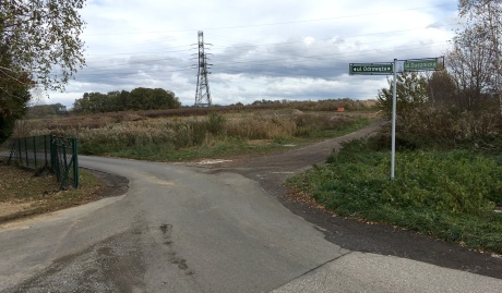 odrowąża, dusznicka