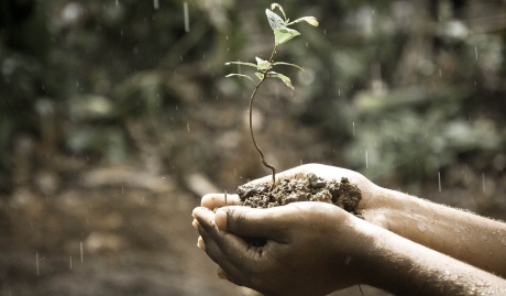 Jak zadbać o swój rozwój osobisty